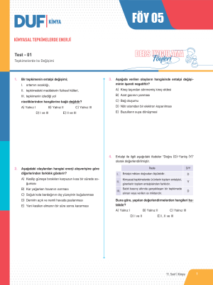 2024 - 11. SINIF KİMYA DUF - FÖY-5